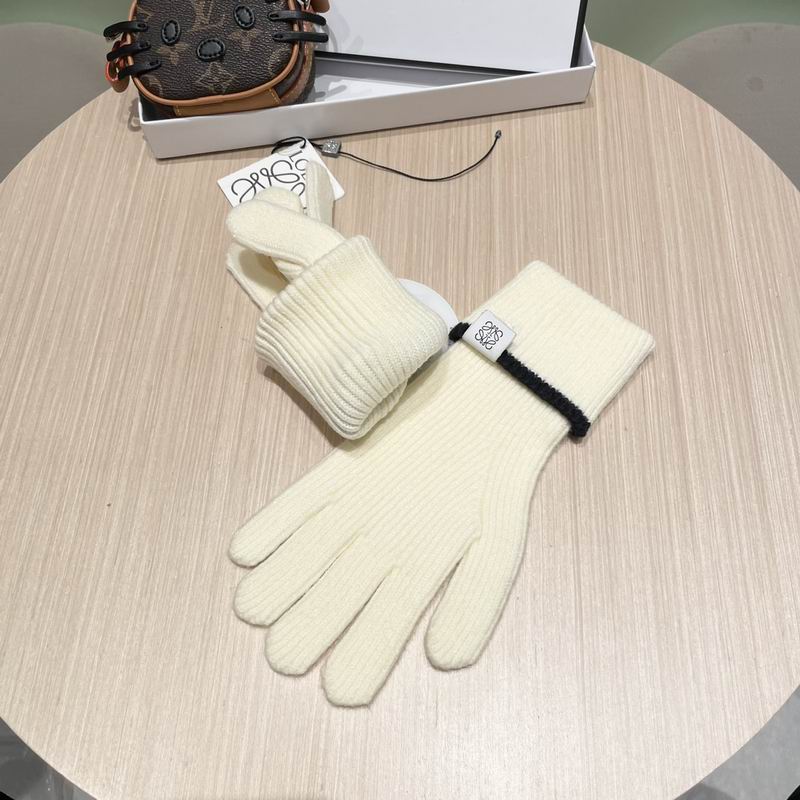 Loewe gloves 52 (17)