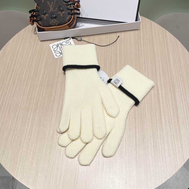 Loewe gloves 52 (18)