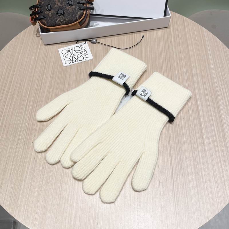 Loewe gloves 52 (19)
