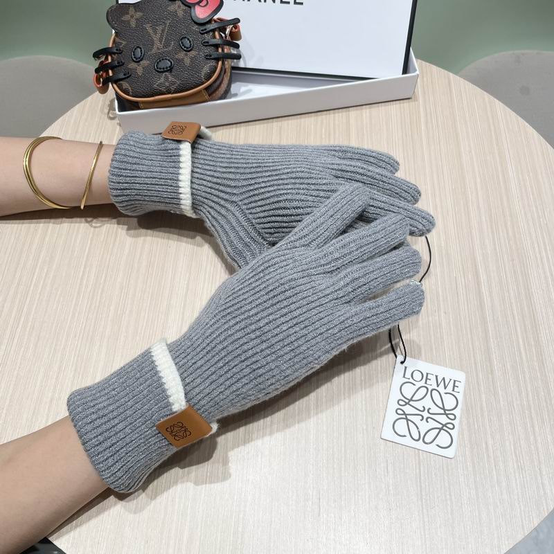 Loewe gloves 52 (23)