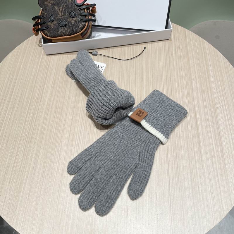 Loewe gloves 52 (26)