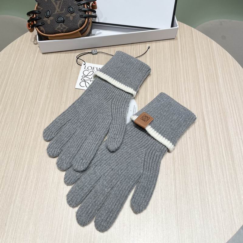 Loewe gloves 52 (27)