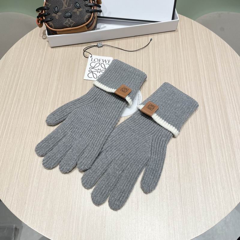 Loewe gloves 52 (28)