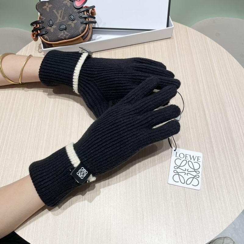 Loewe gloves 52 (4)