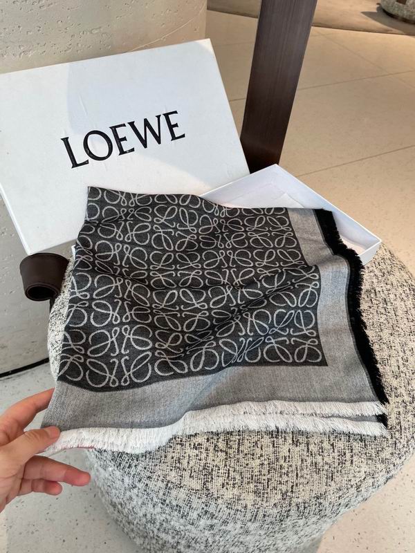 Loewe scarf 140X140cm E 68 (14)