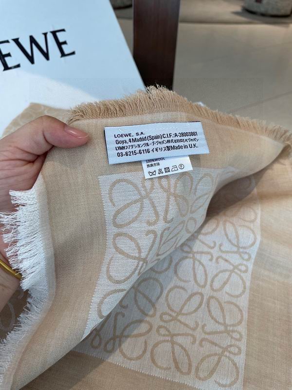 Loewe scarf 140X140cm E 68 (4)