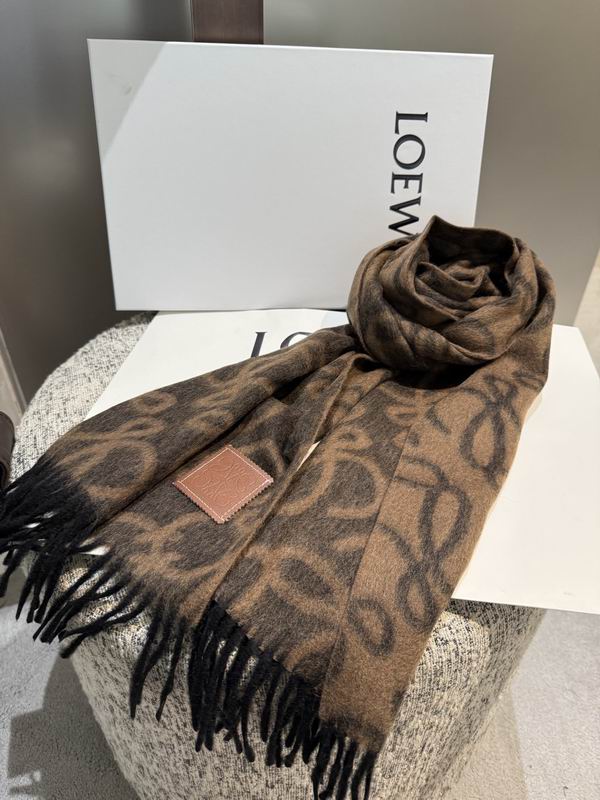 Loewe scarf 180X32cm E21 (13)