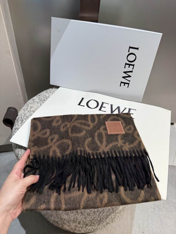 Loewe scarf 180X32cm E21 (16)