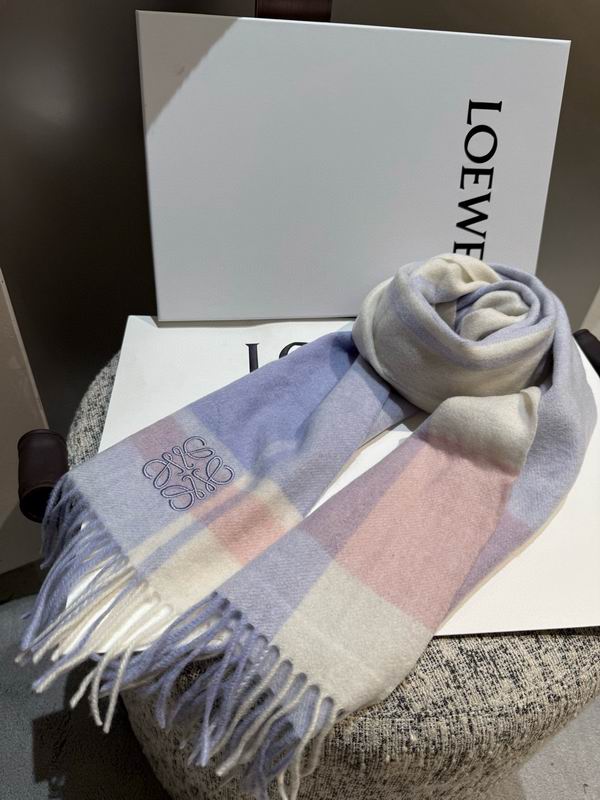 Loewe scarf 30X180cm E11 (13)