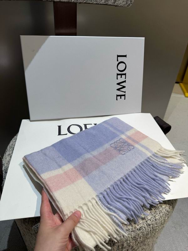 Loewe scarf 30X180cm E11 (16)