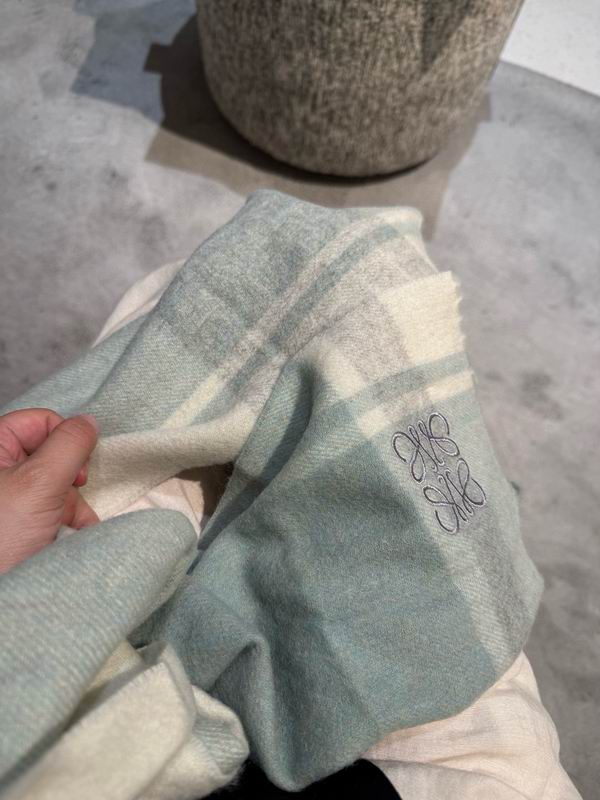 Loewe scarf 30X180cm E11 (19)
