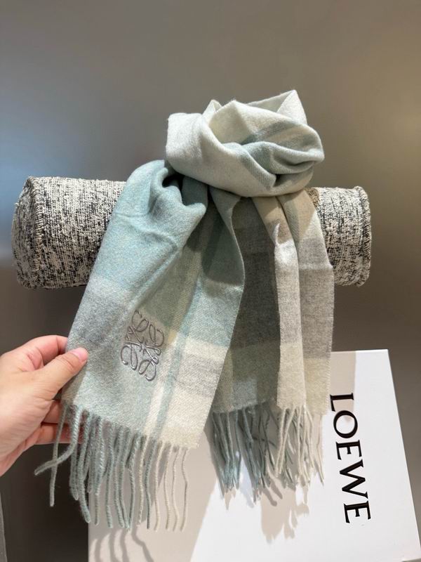 Loewe scarf 30X180cm E11 (21)