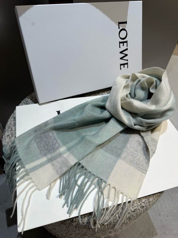 Loewe scarf 30X180cm E11 (22)