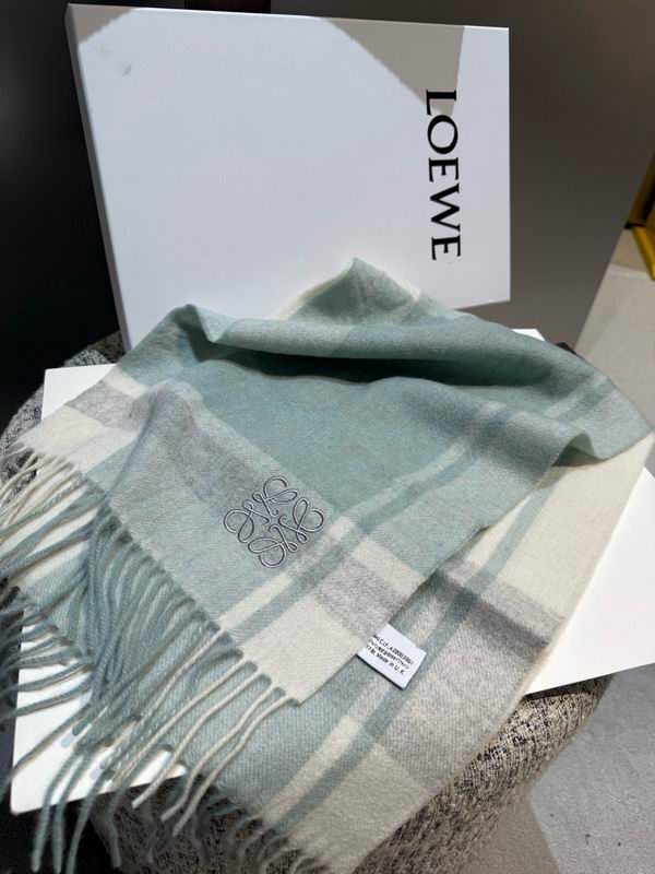Loewe scarf 30X180cm E11 (23)