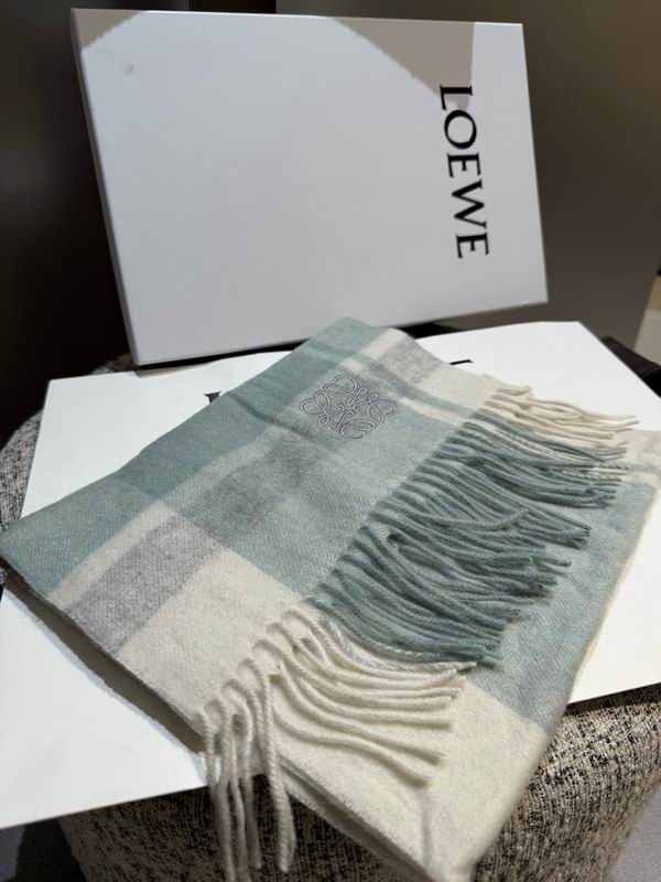 Loewe scarf 30X180cm E11 (24)