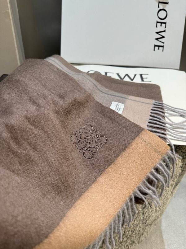 Loewe scarf 30X180cm E11 (6)