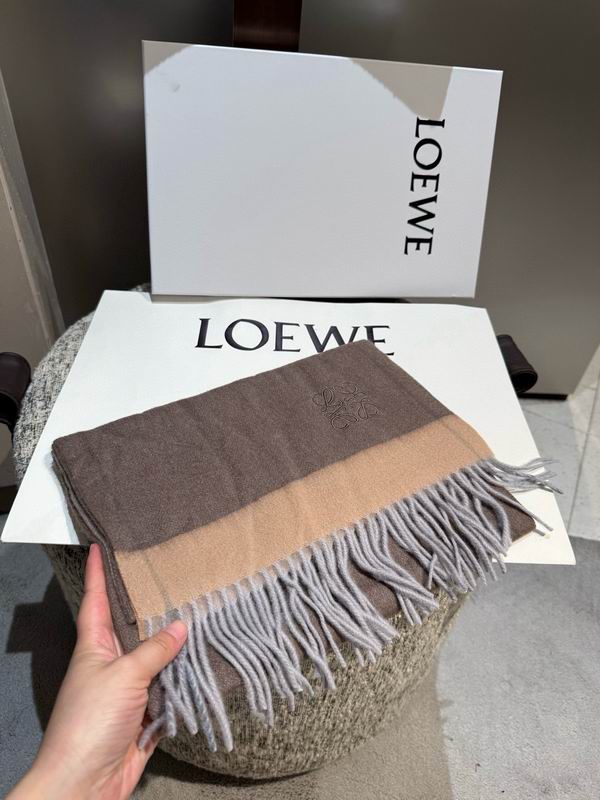 Loewe scarf 30X180cm E11 (7)