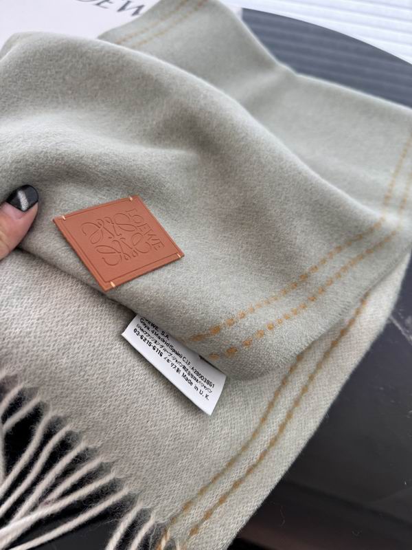 Loewe scarf 30X180cm E37 (21)