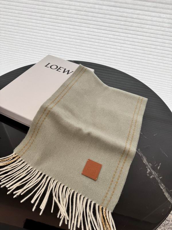 Loewe scarf 30X180cm E37 (22)