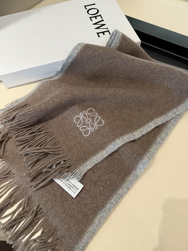 Loewe scarf 30X180cm E38 (21)