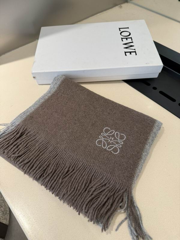 Loewe scarf 30X180cm E38 (23)