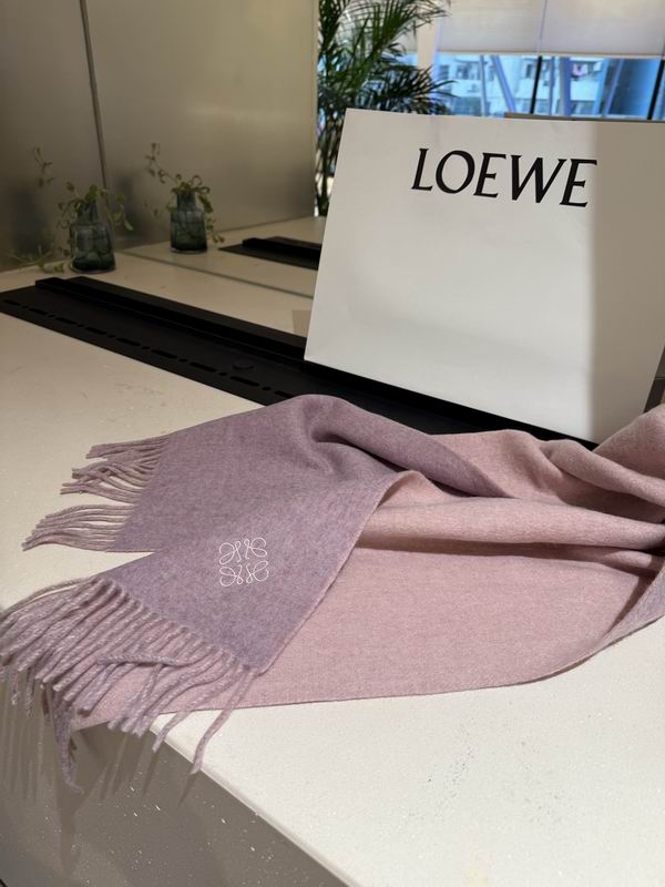 Loewe scarf 30X180cm E43 (15)