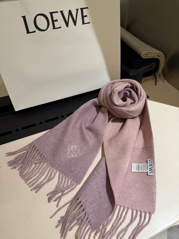 Loewe scarf 30X180cm E43 (17)