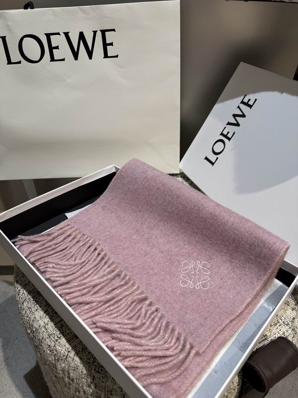 Loewe scarf 30X180cm E43 (20)