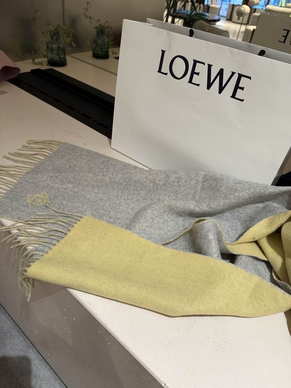 Loewe scarf 30X180cm E43 (9)