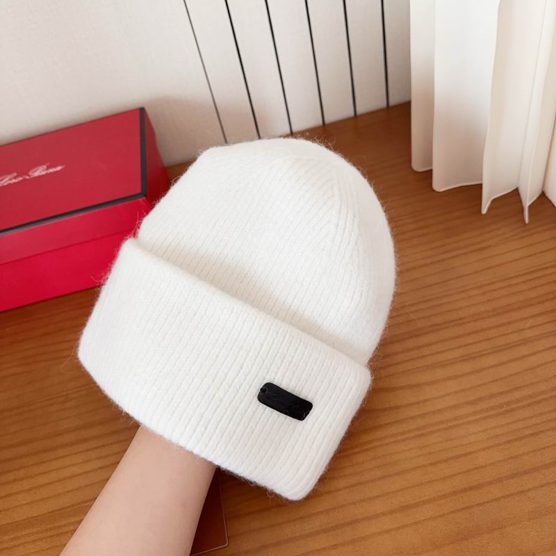 Loro Piana Hat dx (1092)