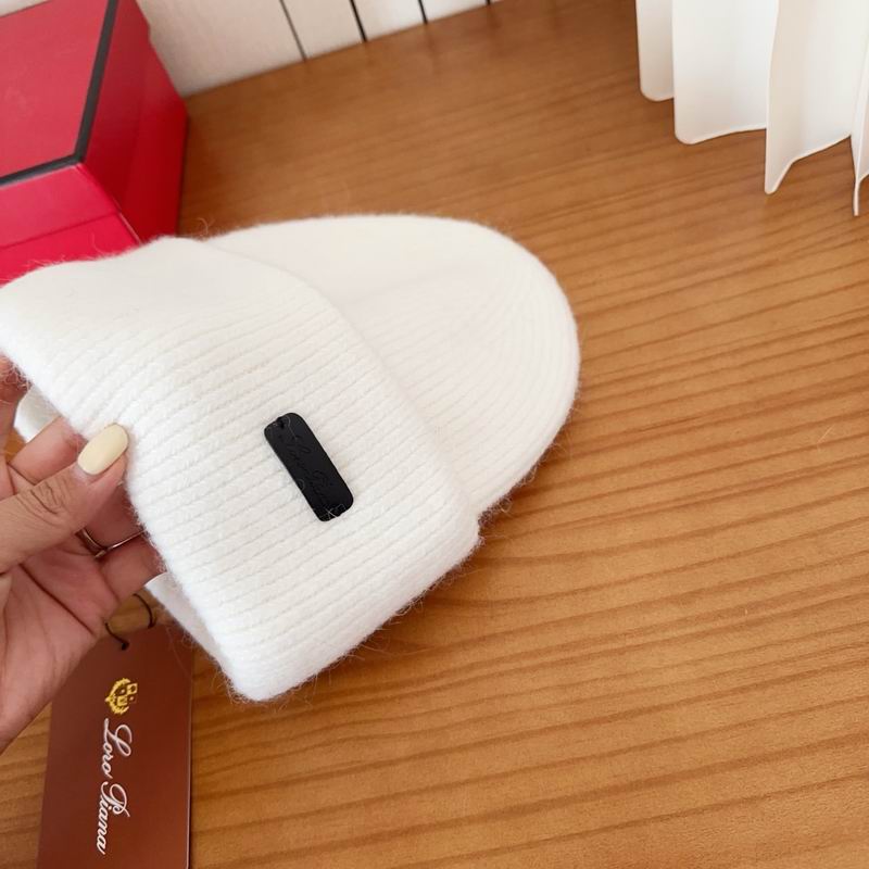 Loro Piana Hat dx (1093)