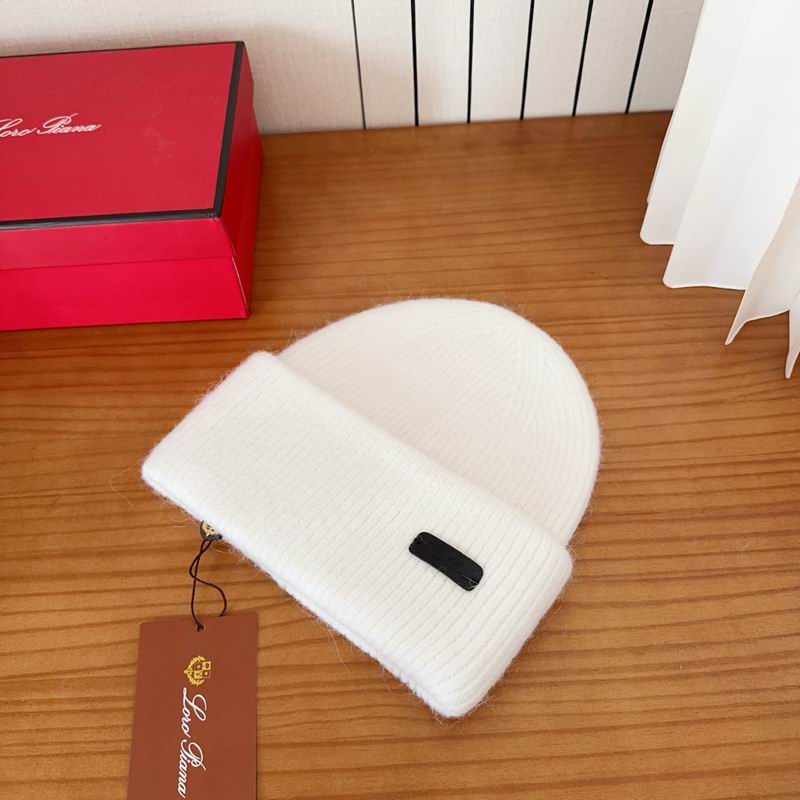 Loro Piana Hat dx (1094)