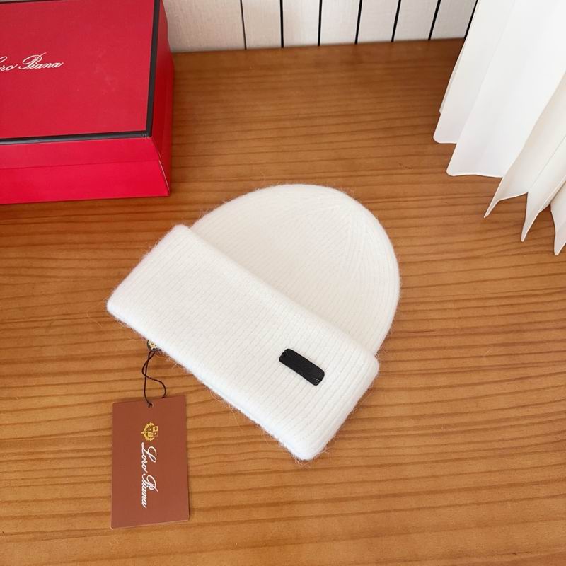 Loro Piana Hat dx (1095)