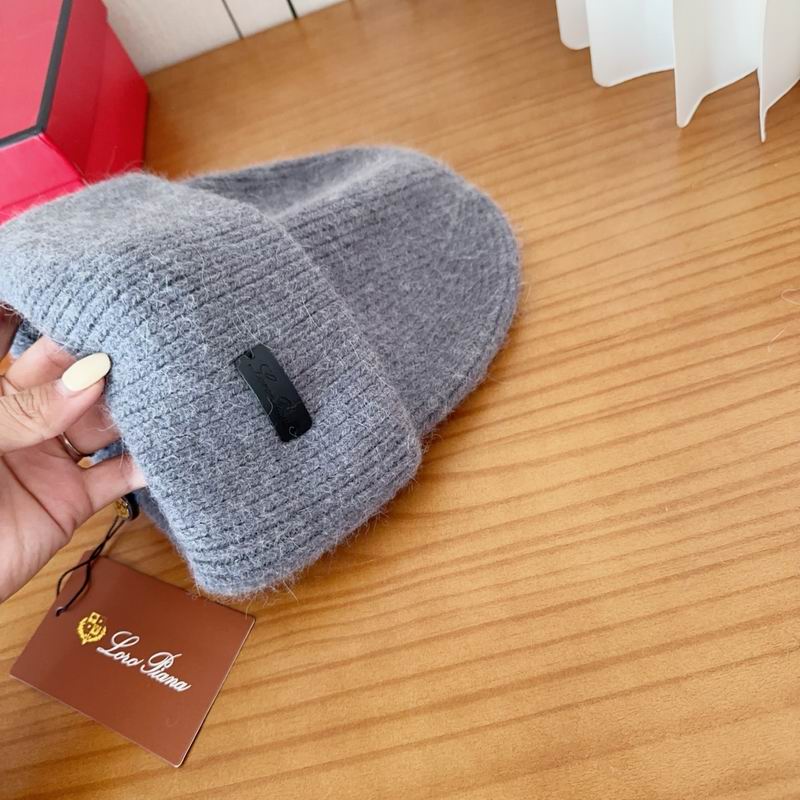 Loro Piana Hat dx (1102)