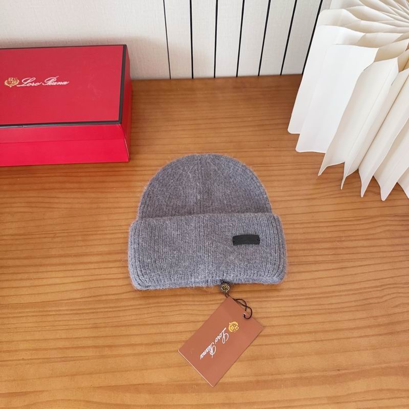 Loro Piana Hat dx (1104)