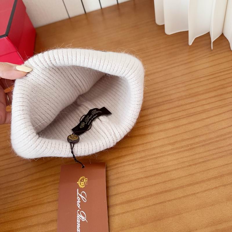 Loro Piana Hat dx (1107)