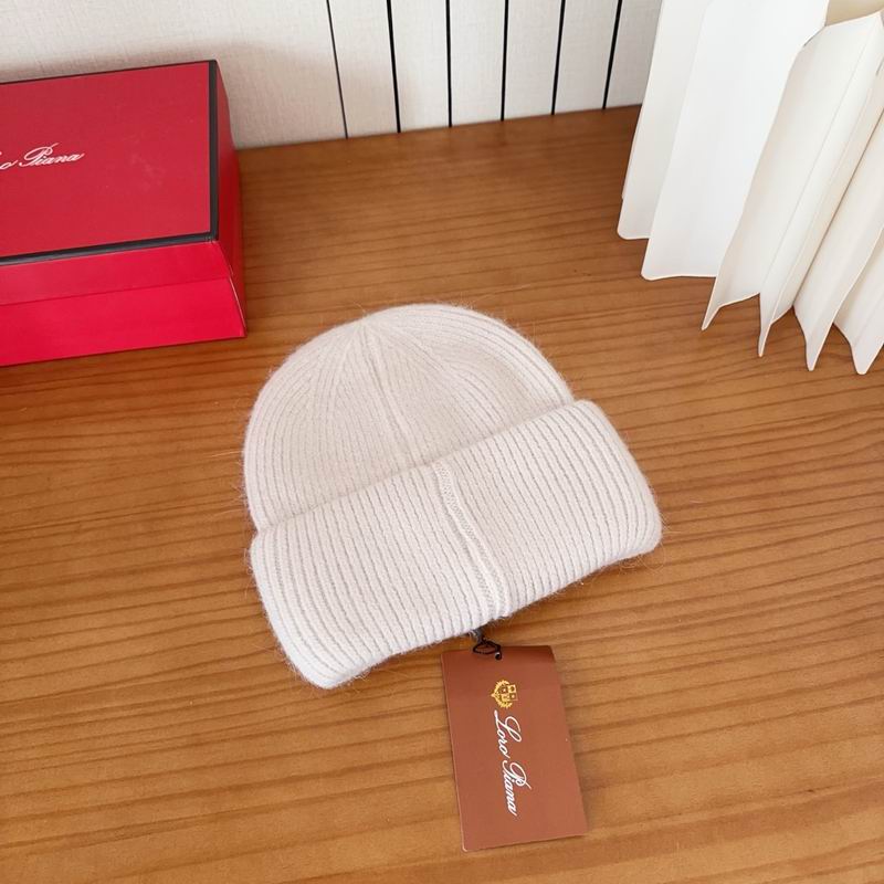 Loro Piana Hat dx (1108)
