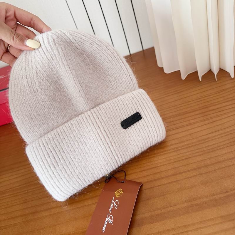 Loro Piana Hat dx (1109)