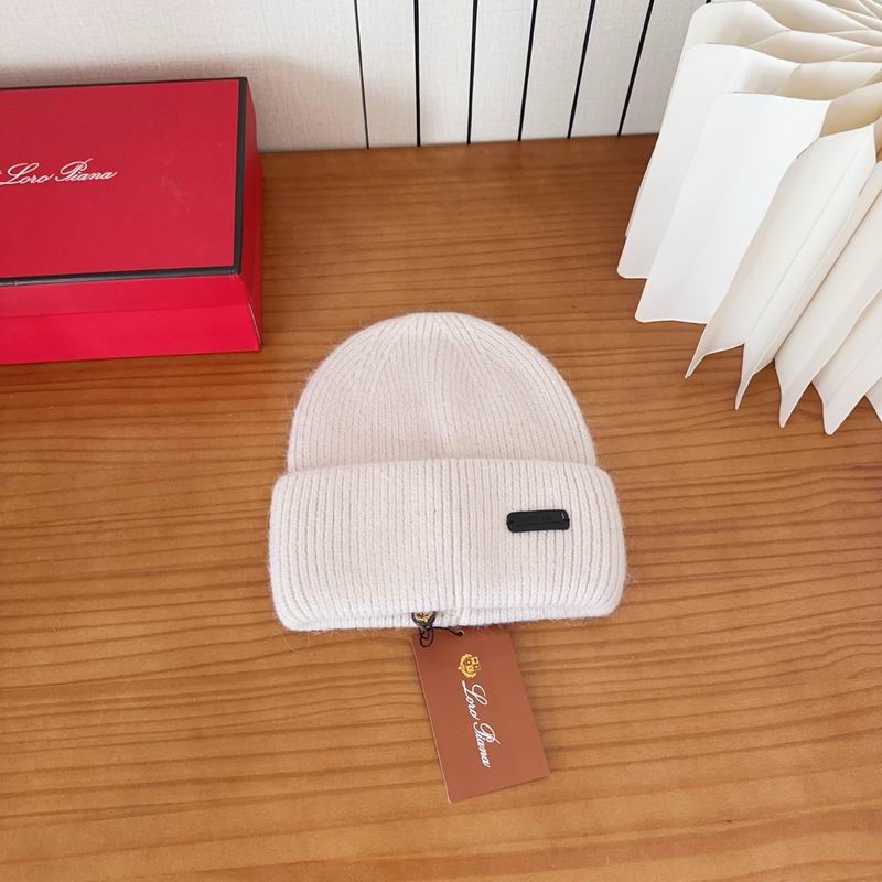 Loro Piana Hat dx (1113)