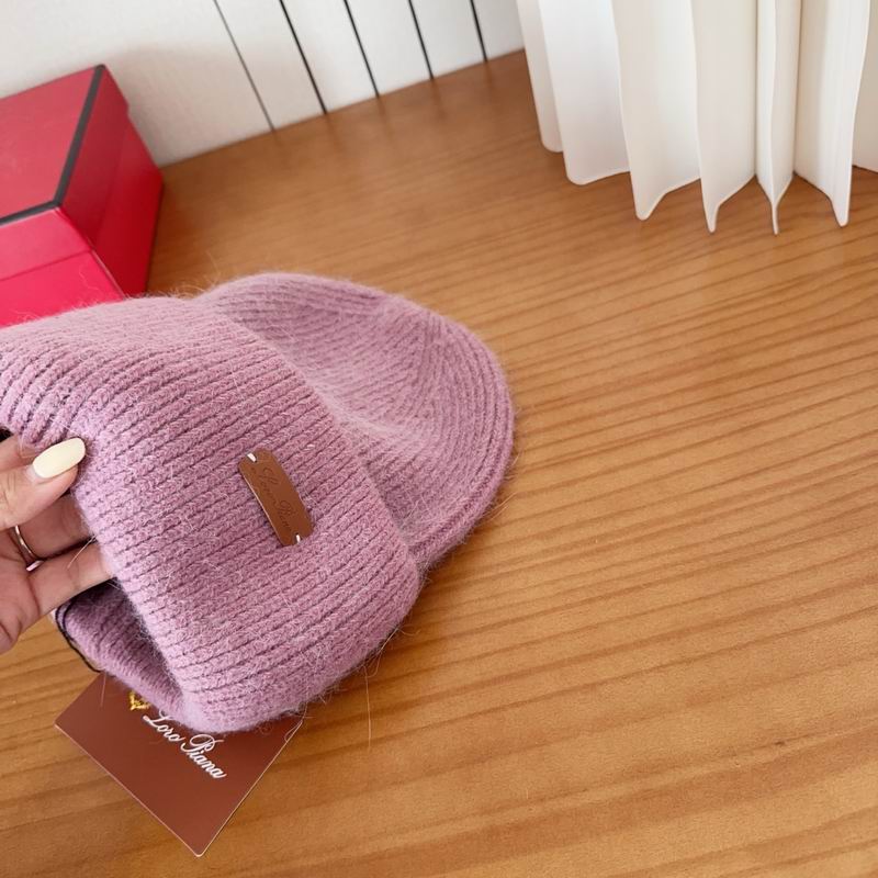 Loro Piana Hat dx (1115)