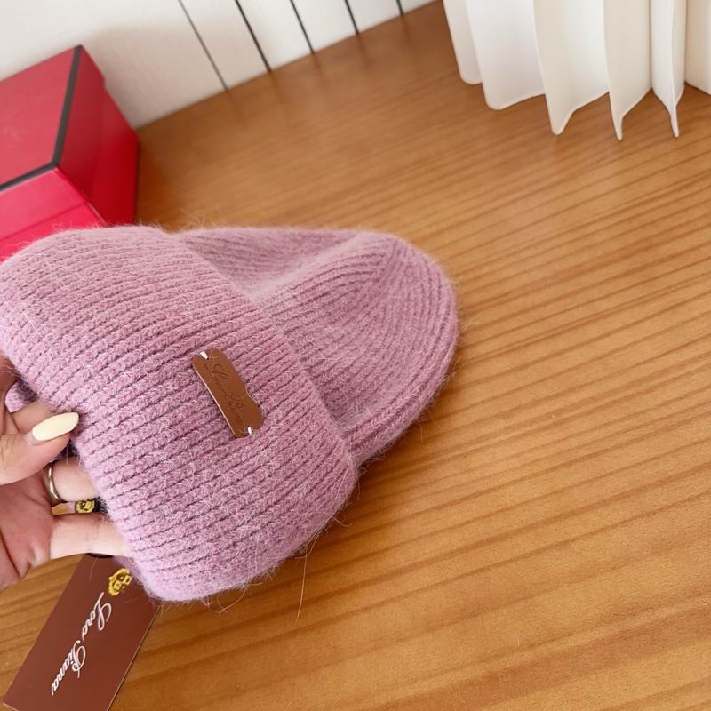 Loro Piana Hat dx (1119)