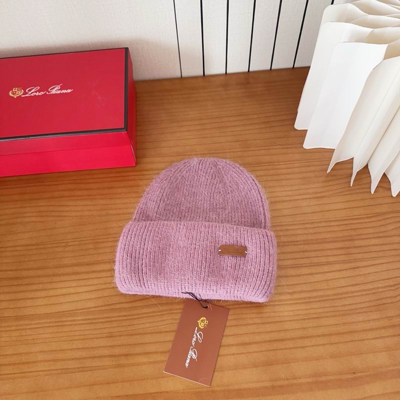 Loro Piana Hat dx (1122)