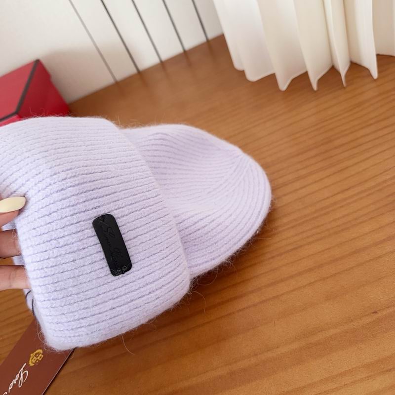 Loro Piana Hat dx (1128)