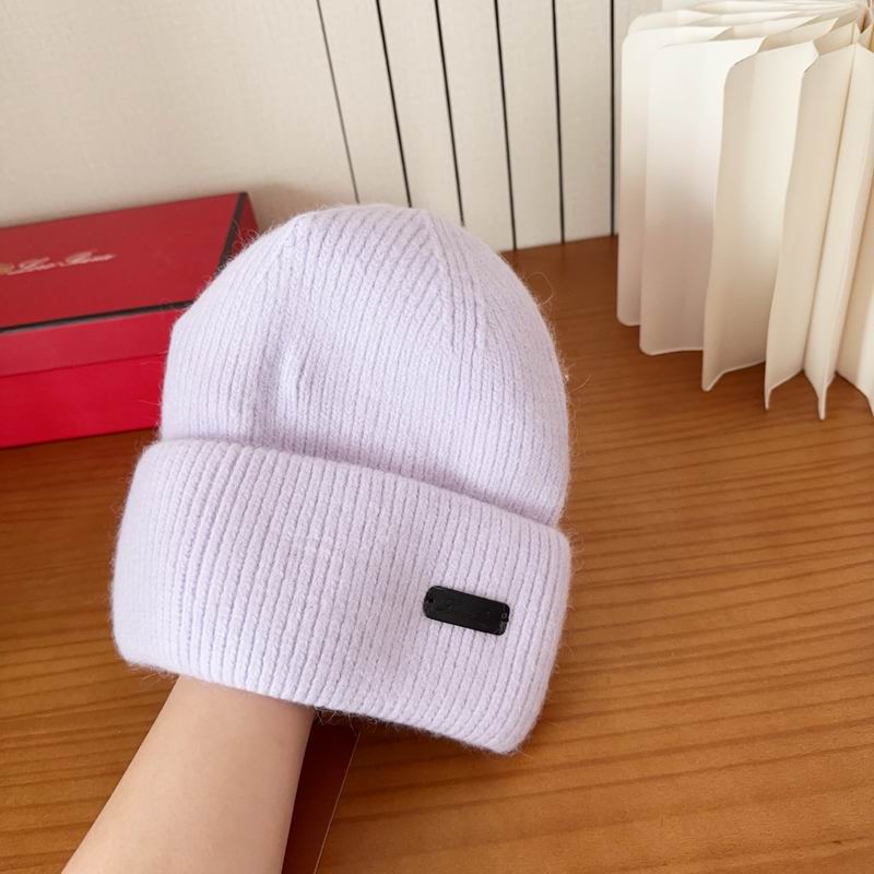 Loro Piana Hat dx (1129)