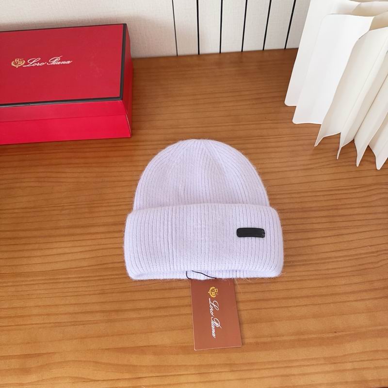 Loro Piana Hat dx (1131)