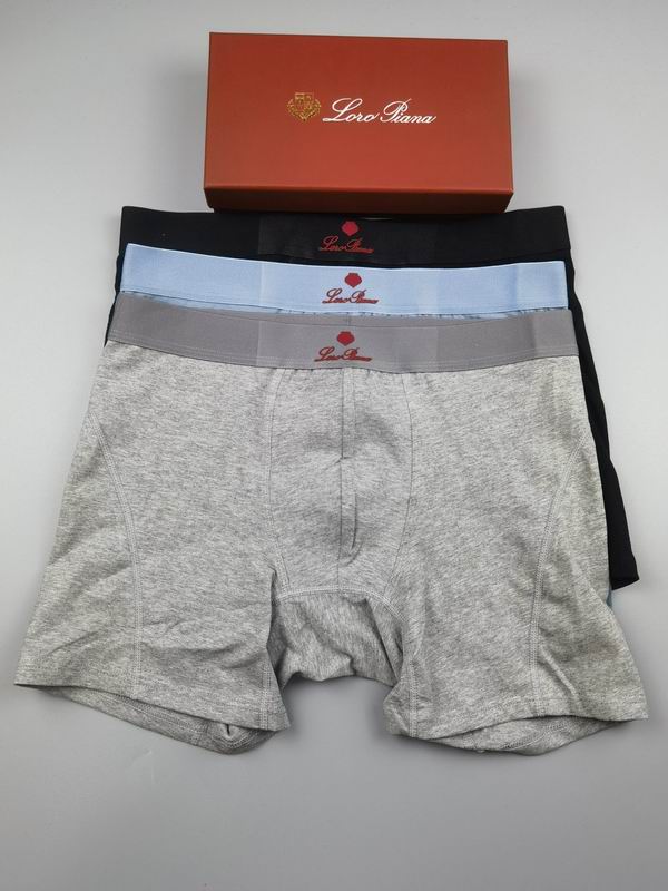 Loro Piana boxer M-3XL 15 (2)