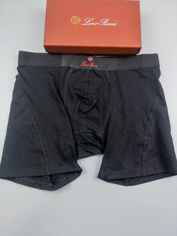 Loro Piana boxer M-3XL 15 (3)