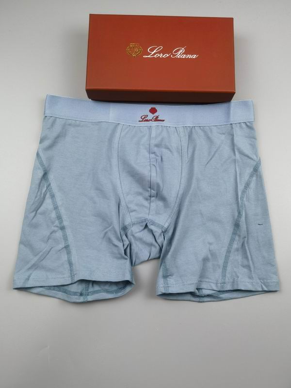 Loro Piana boxer M-3XL 15 (4)