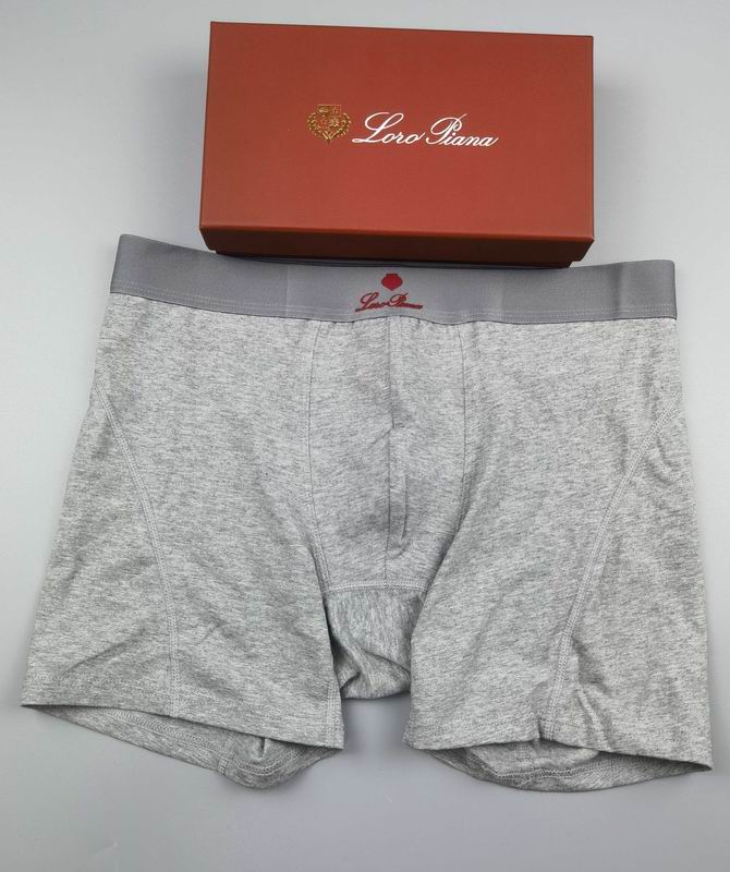 Loro Piana boxer M-3XL 15 (5)