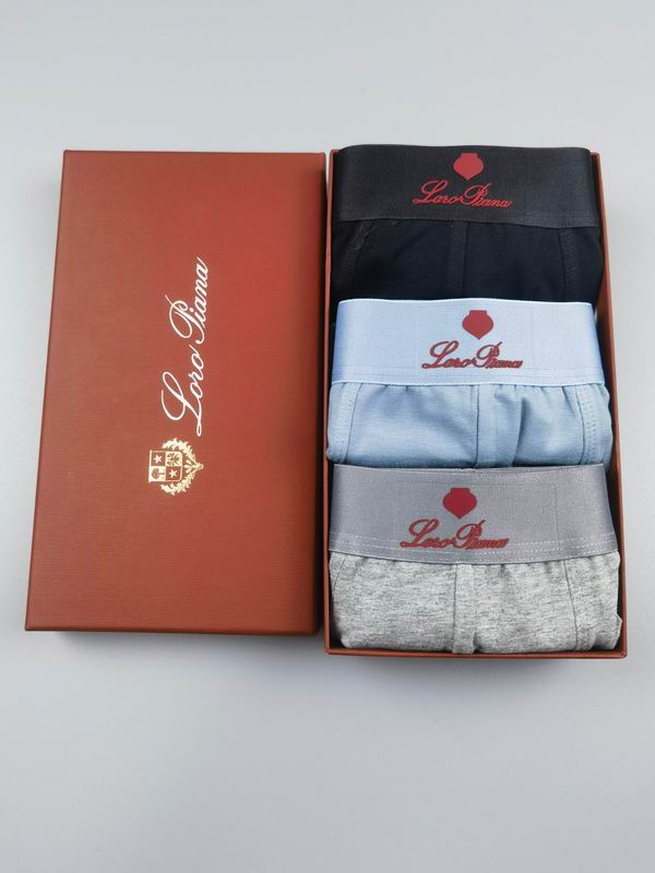 Loro Piana boxer M-3XL 15 (6)